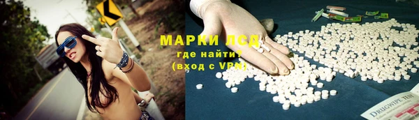 прущие грибы Алзамай