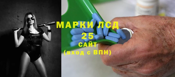 прущие грибы Алзамай