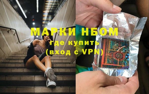 прущие грибы Алзамай