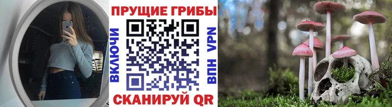 Псилоцибиновые грибы прущие грибы  MEGA сайт  Светлоград 